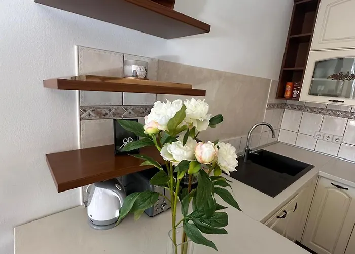 Surya Apartman Medulin